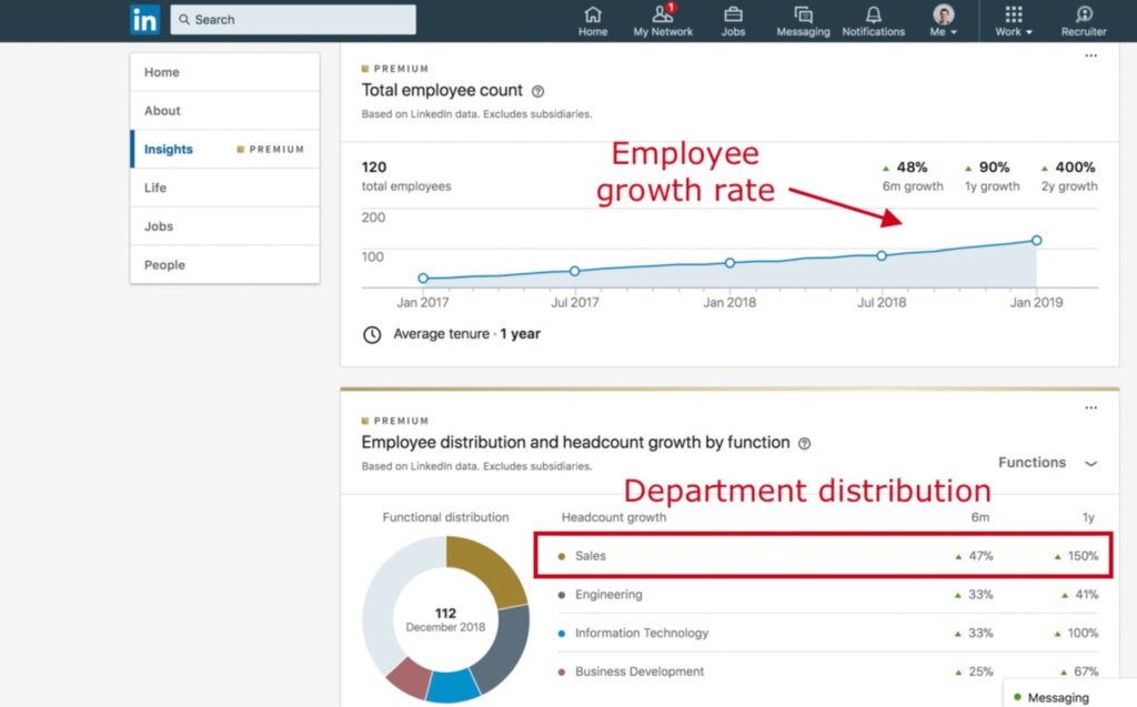 LinkedIn Insights for a company